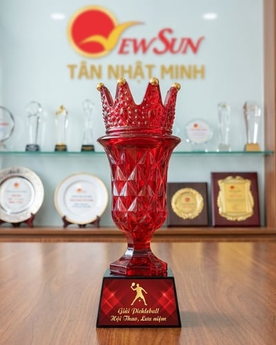Mẫu Cúp Pickleball Pha lê đẹp mới (11)