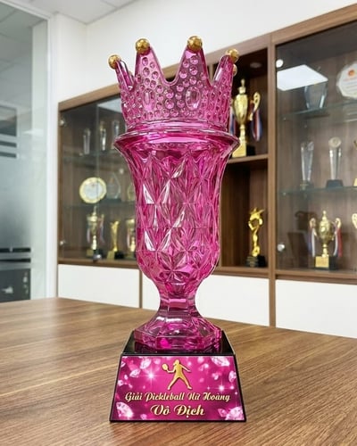 Mẫu Cúp Pickleball đẹp mới (12)