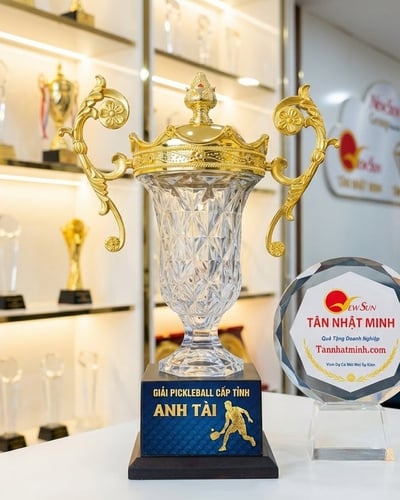 Mẫu Cúp Pickleball đẹp mới (13)