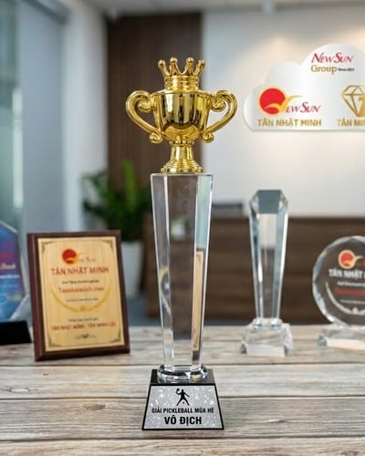 Mẫu Cúp Pickleball pha lê đẹp mới (33)