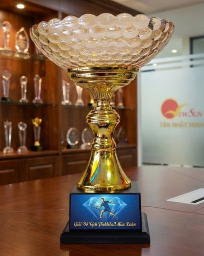 Mẫu Cúp Pickleball pha lê đẹp mới (32)