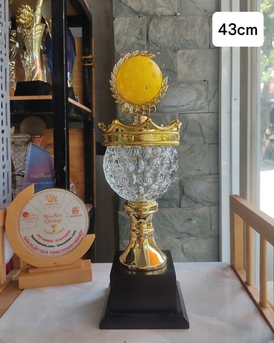 Cúp Pickleball Kim Loại Cao Cấp Đế Gỗ 