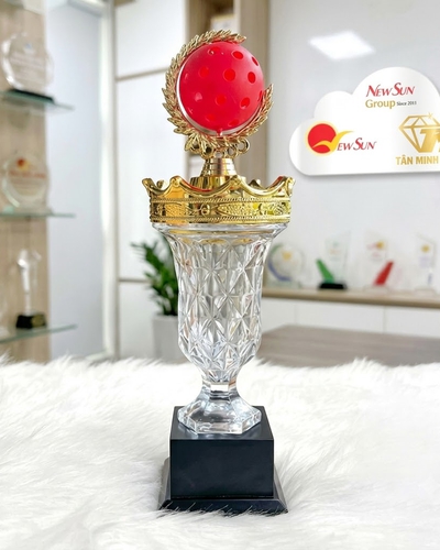  Cúp Pickleball Ly Pha Lê Kết Hợp Đế Gỗ 