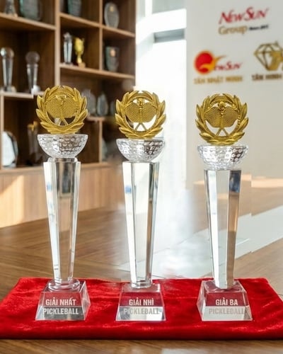 Mẫu Cúp Pickleball đẹp mới (14)