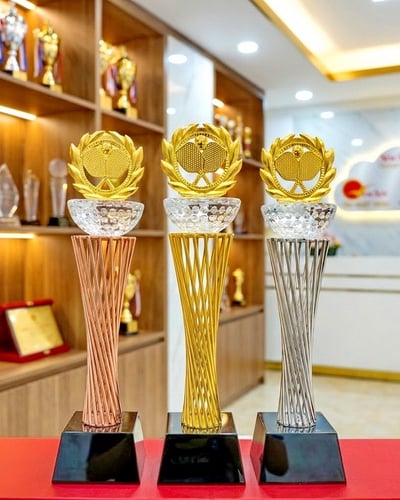 Mẫu Cúp Pickleball đẹp mới (4)