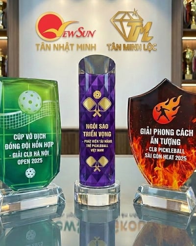 Mẫu Cúp Pickleball pha lê đẹp mới (17)
