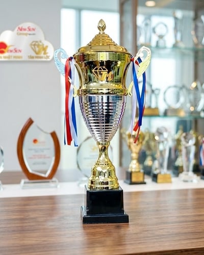 Mua cúp kim loại, Nhập trực tiếp Mẫu Thân Cao 71