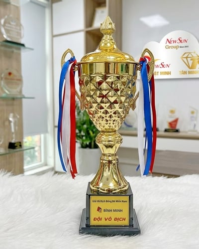 Cúp thể thao cúp kim loại caro