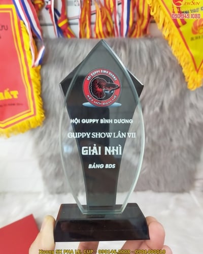 Cúp pha lê ngôi sao, cúp pha lê, bán lẻ - 11
