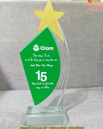 Kỷ niệm chương ngôi sao đẹp, vinh danh nhân viên 15 năm