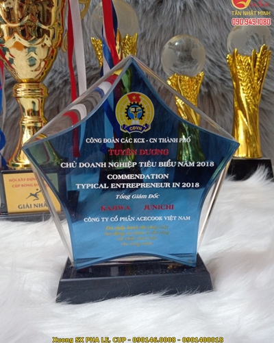 Kỷ niệm chương giá rẻ, mua kỷ niệm chương pha lê đẹp - 5