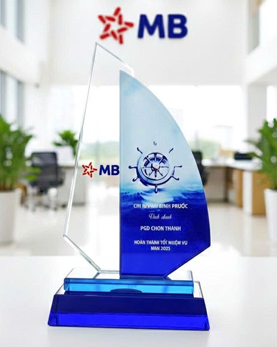 Kỷ niệm chương pha lê siêu đẹp 6