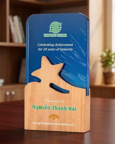 Kỷ niệm chương pha lê, Kỷ niệm chương gỗ ngôi sao