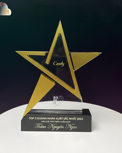 Kỷ niệm chương pha lê, Kỷ niệm chương kim loại ngôi sao