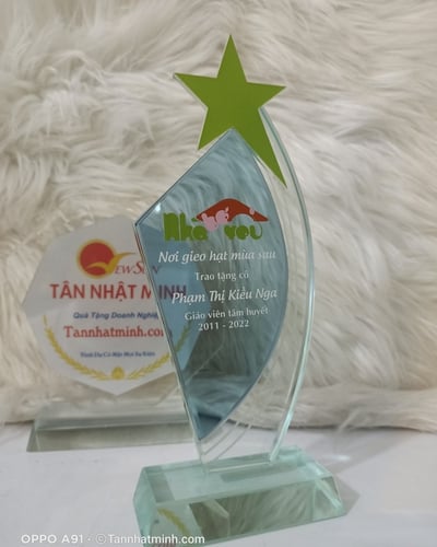 kỷ niệm chương thủy tinh giá siêu rẻ 13