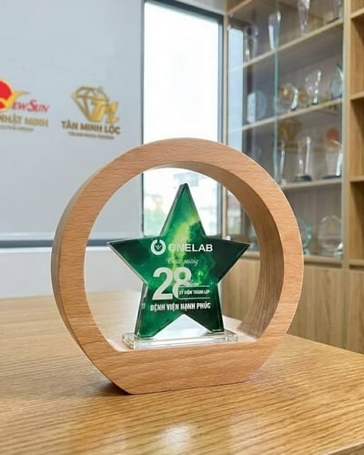 Kỷ niệm chương pha lê, Kỷ niệm chương gỗ tròn đẹp (1)