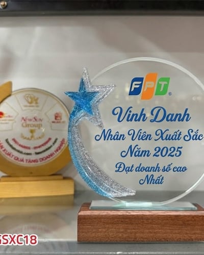 Kỷ niệm chương pha lê, Kỷ niệm chương Tròn gỗ đẹp (4)