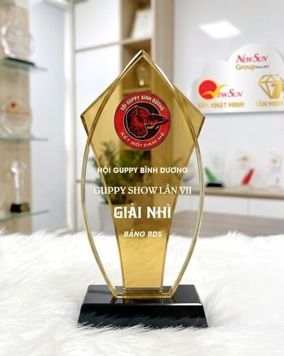 Kỷ niệm chương pha lê 2 lớp đẹp