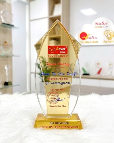 Kỷ niệm chương pha lê Nhọn 2 lớp đẹp