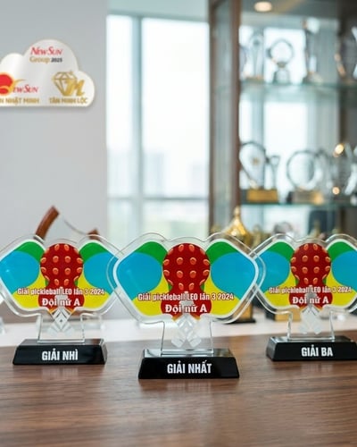 Kỷ Niệm Chương Thuỷ Tinh Pickleball - Mẫu Đẹp Hot Trên Thị Trường (2)