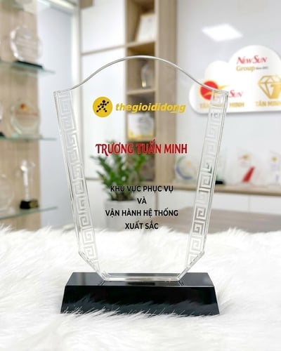 Kỷ niệm chương đẹp cao cấp, Sản xuất theo yêu cầu Mẫu TGDD