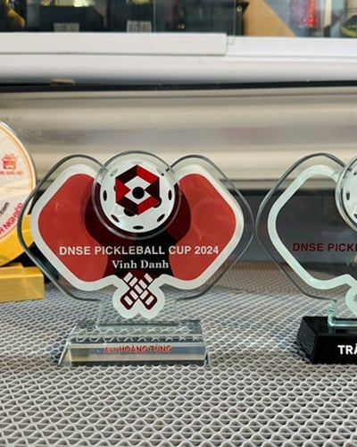 Kỷ Niệm Chương Pickleball Cho Giải Đấu