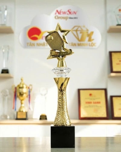 Cúp Pickleball Mạ Vàng Đẹp Mới Nhập Thịnh hành