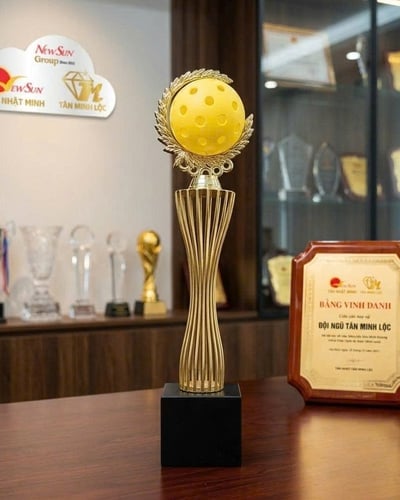 Cúp Pickleball Mạ Vàng Đẹp Mới Nhập Đầu Banh Pick 2