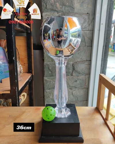 Cúp Pickleball Kim Loại Cao Cấp 2024