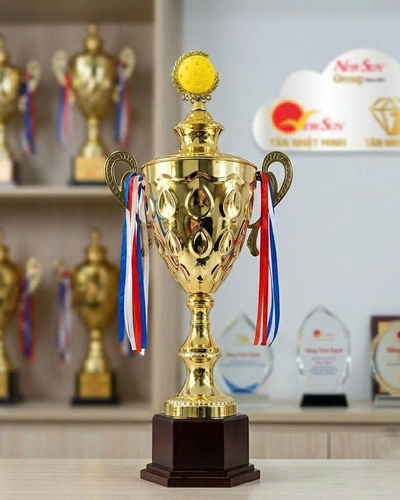 Cúp Pickleball Kim Loại Mới Đẹp Mới Nhập Cao Cấp- Có Thể Thay Đầu Chóp