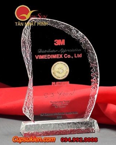kỷ niệm chương đẹp pha lê -20