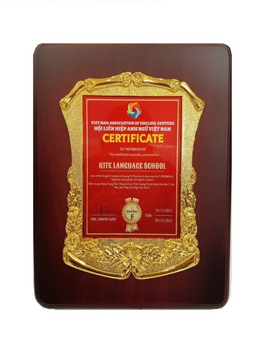 Bảng vinh danh, Kỷ niệm chương gỗ, biểu trưng gỗ viền hoa mai, in nền
