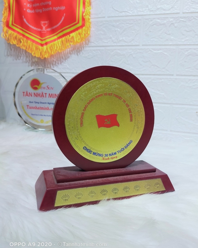 Sản xuất Kỷ niệm chương gỗ đồng, Biểu trưng Mạ vàng theo yêu cầu (3)