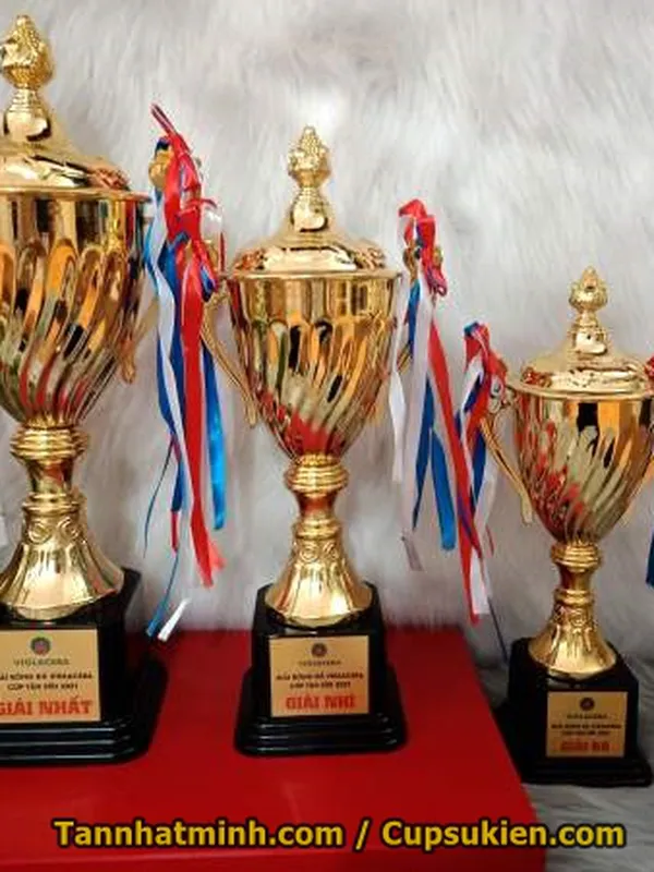 Mua cúp bóng đá, cúp lưu niệm, 2
