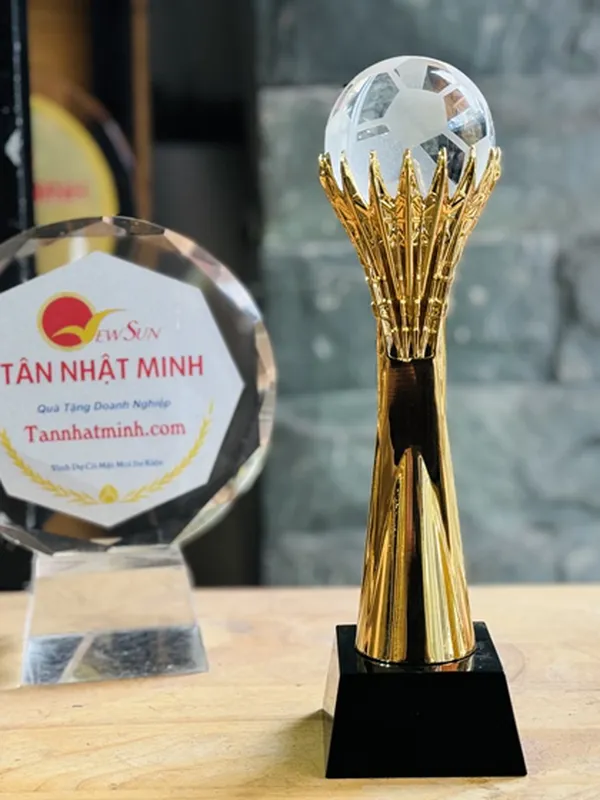 Cúp vinh danh, Cúp pha lê đẹp, Cao cấp -29