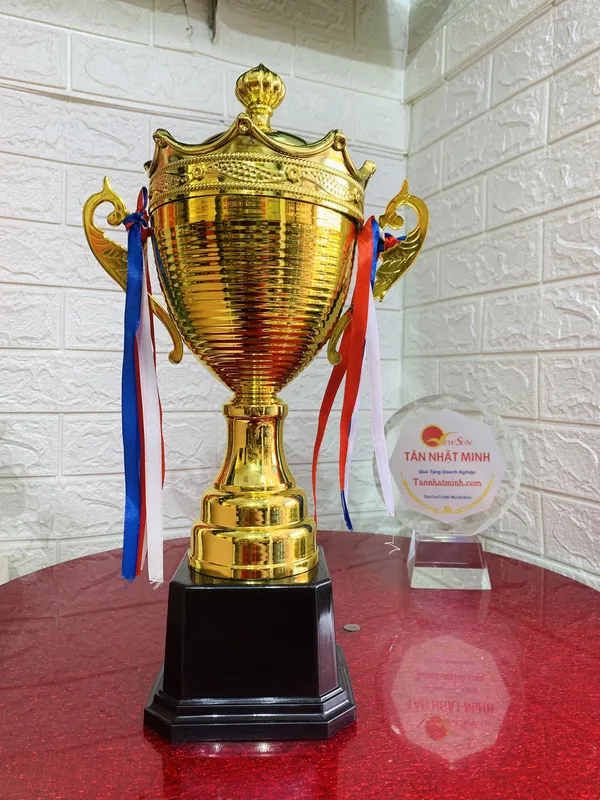 Cúp Bida Kim Loại (11)