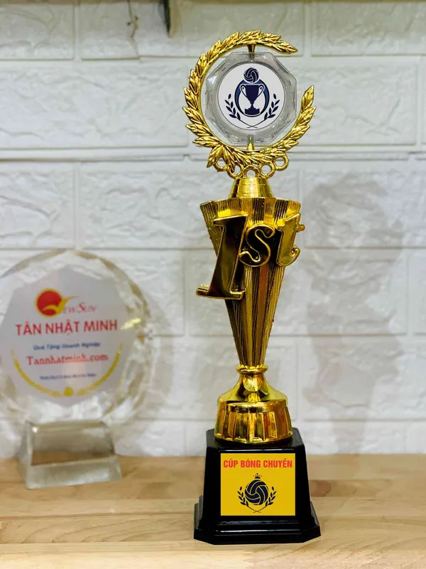 Làm Cúp Bóng Chuyền Giá Rẻ (6)