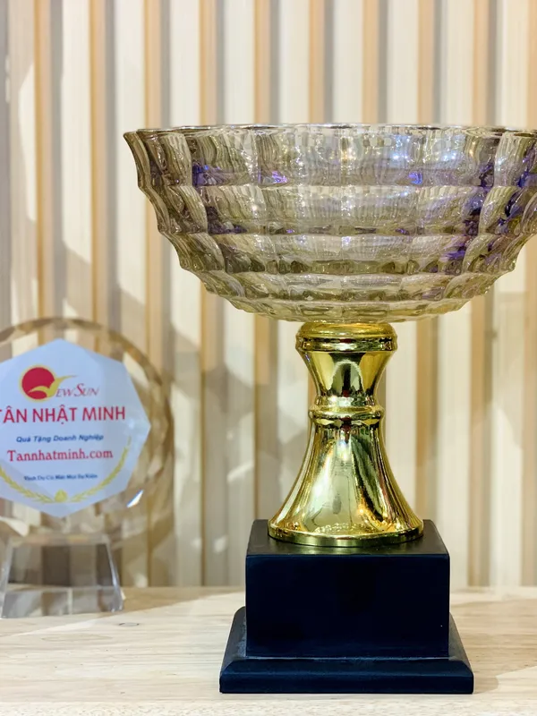 Giá Mẫu Cúp Bóng Chuyền (8)