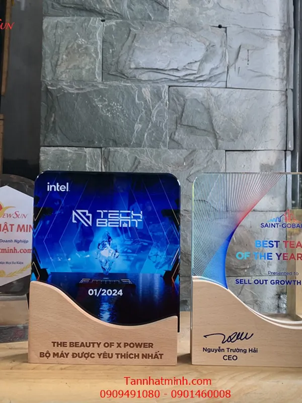 Kỷ niệm chương Phale siêu đẹp 8