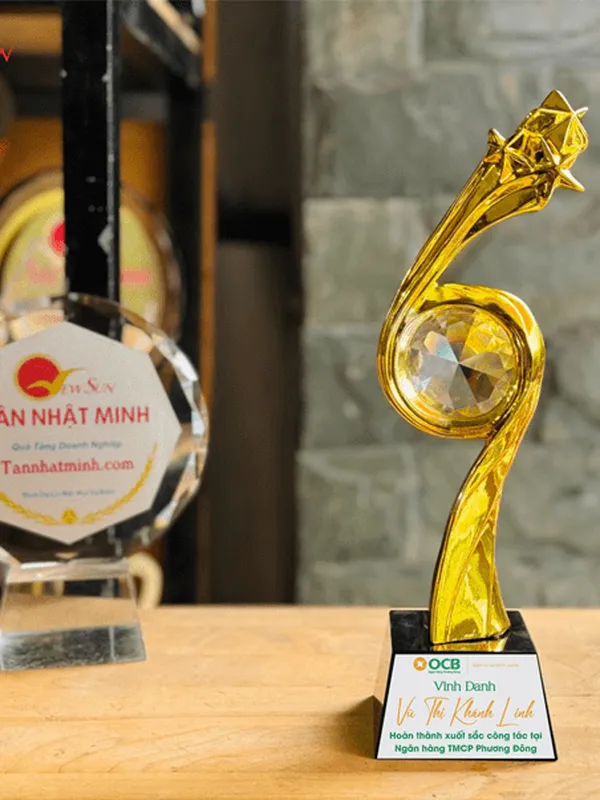 Cúp Vinh Danh, Lưu Niệm Mạ Vàng 24