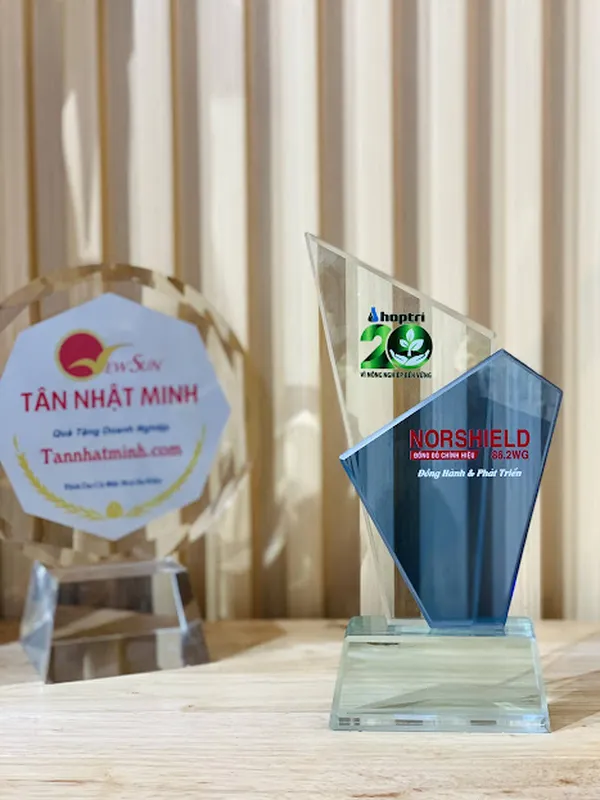 kỷ niệm chương đẹp -12