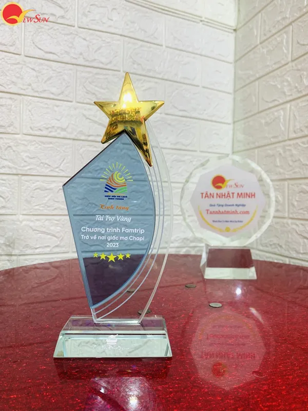 kỷ niệm chương hợp lớp, kỷ niệm chương học sinh đẹp -12