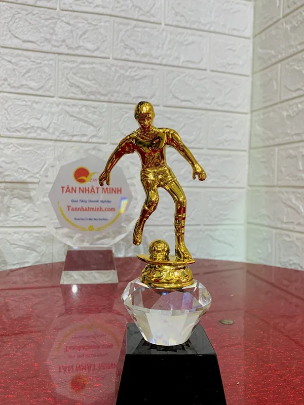 Mua cúp bóng đá, cúp lưu niệm, 8