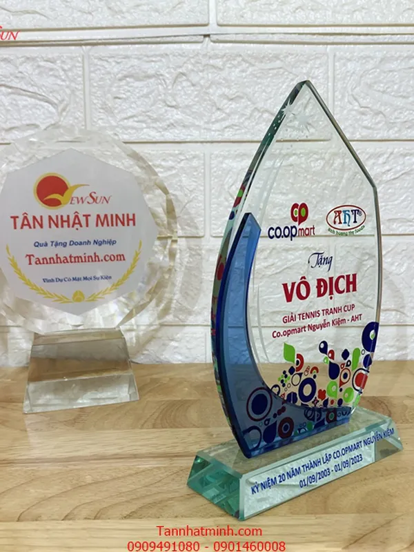 kỷ niệm chương thủy tinh giá siêu rẻ 4