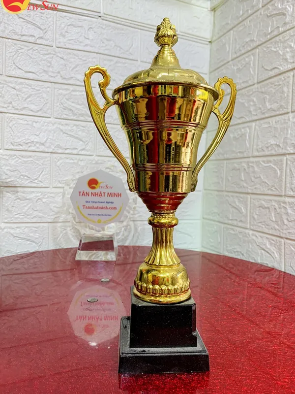 Mua cúp bóng đá, cúp lưu niệm, 5