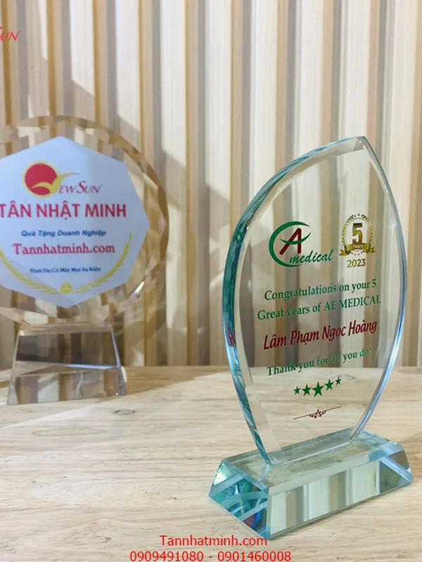 kỷ niệm chương hợp lớp, kỷ niệm chương học sinh đẹp - 5