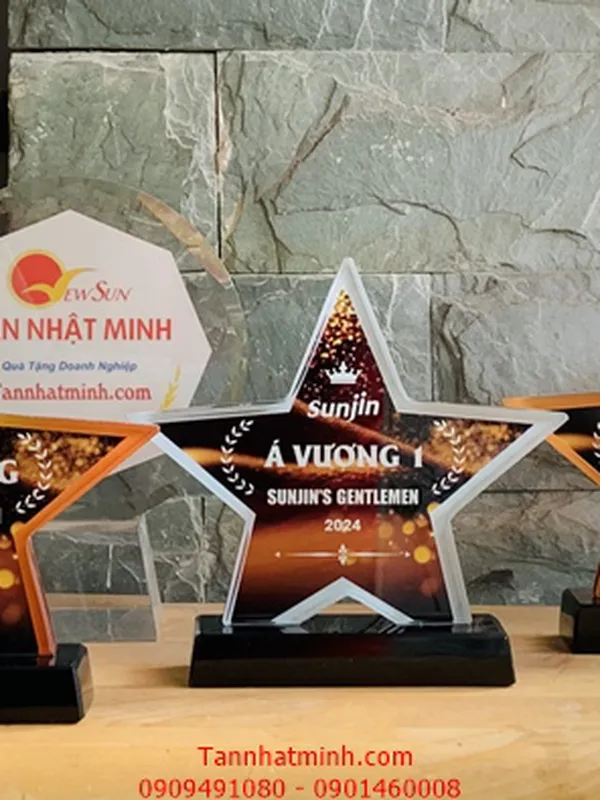 Kỷ niệm chương Phale siêu đẹp 14