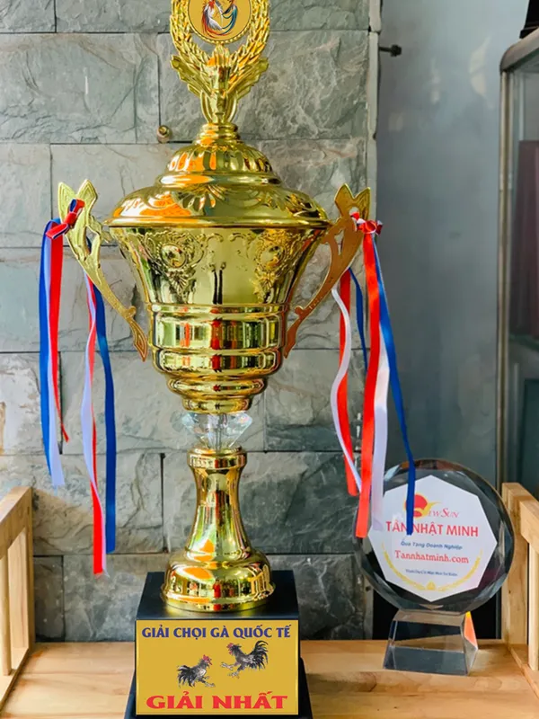 Top Các Mẫu Cúp Đá Gà - Đẹp Và Cao Cấp