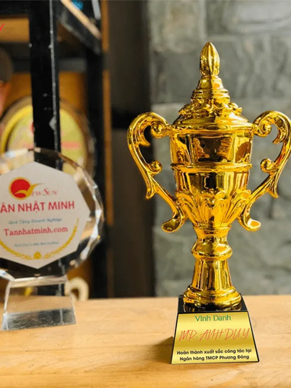 Cúp Vinh Danh, Lưu Niệm Mạ Vàng 25