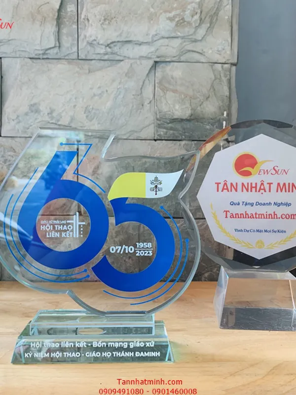 Kỷ niệm chương số 65 , 65 năm thành lập đoàn (Mau 3)